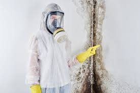 Best Mold Removal for HVAC Installations  in Holmes Beach, FL